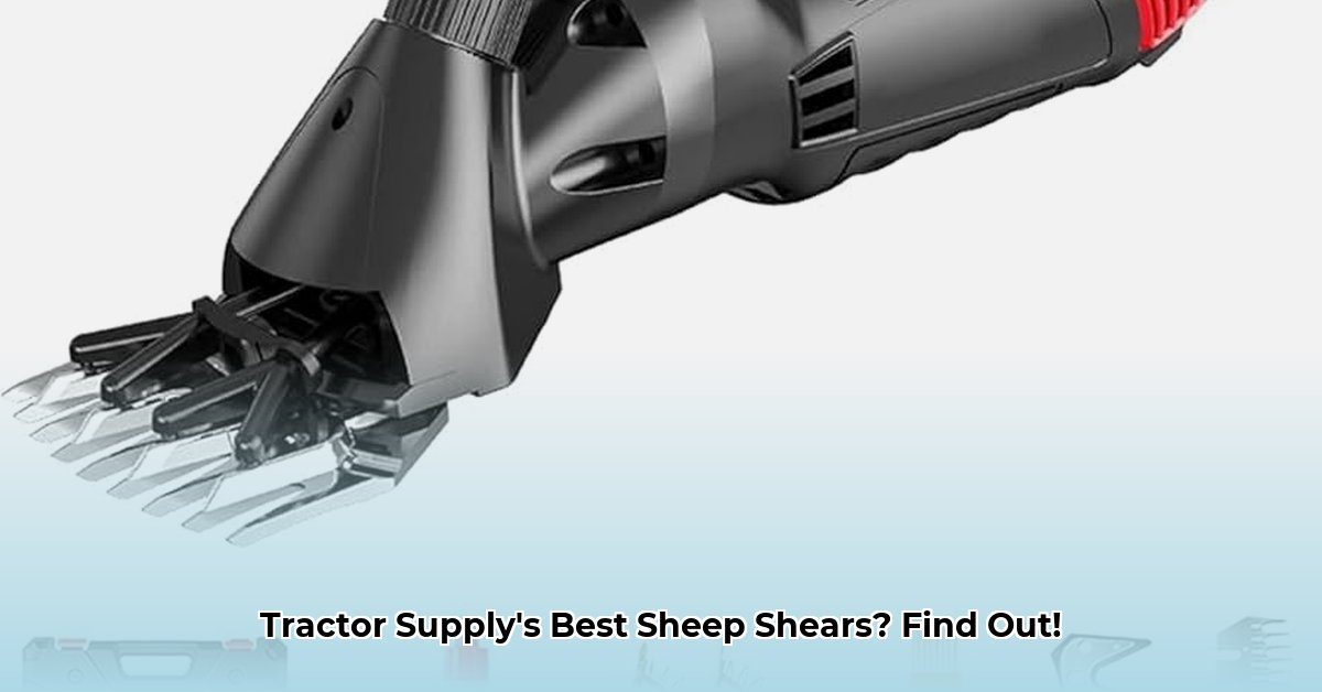 sheep-shears-tractor-supply